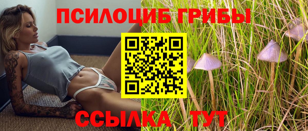 Галлюциногенные грибы мухоморы  купить   Галлюциногенные грибы MAGIC MUSHROOMS  Киржач  Вход с VPN 