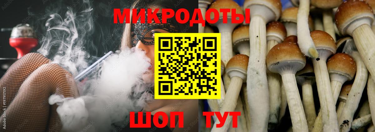 Галлюциногенные грибы Psilocybine cubensis Киржач